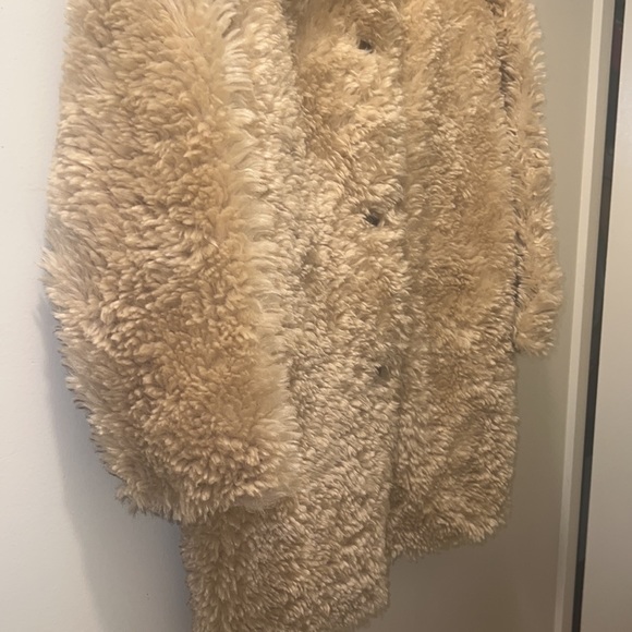 Zara Teddy - Picture 2 of 7